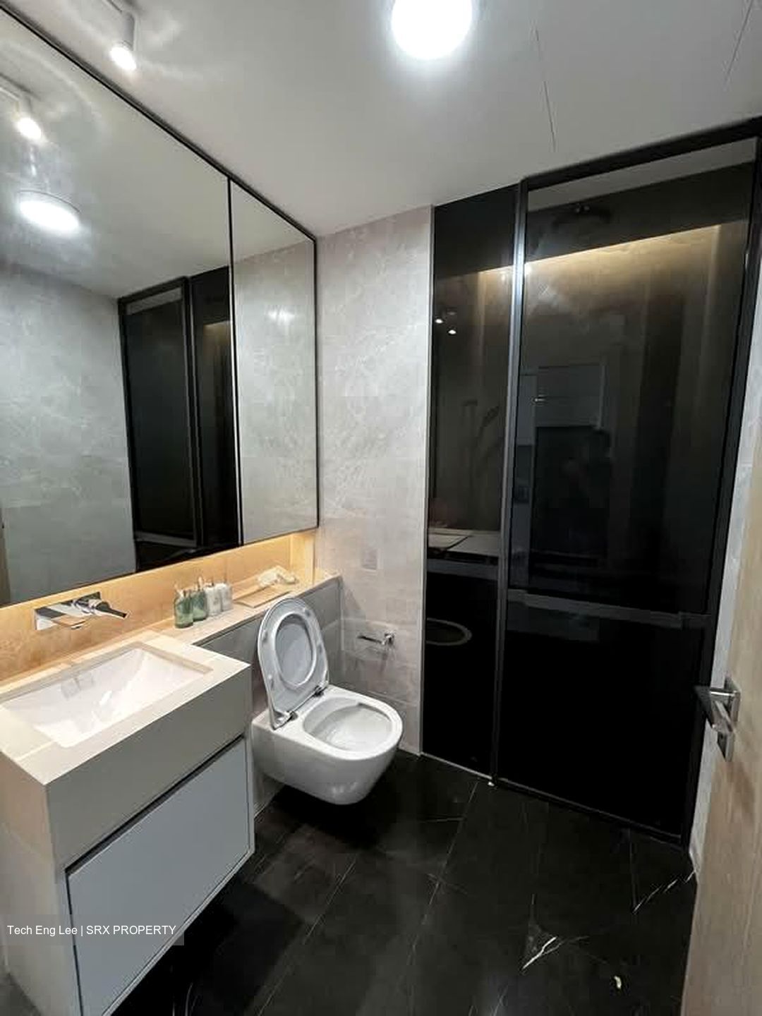 Amber Park (D15), Condominium #528708091